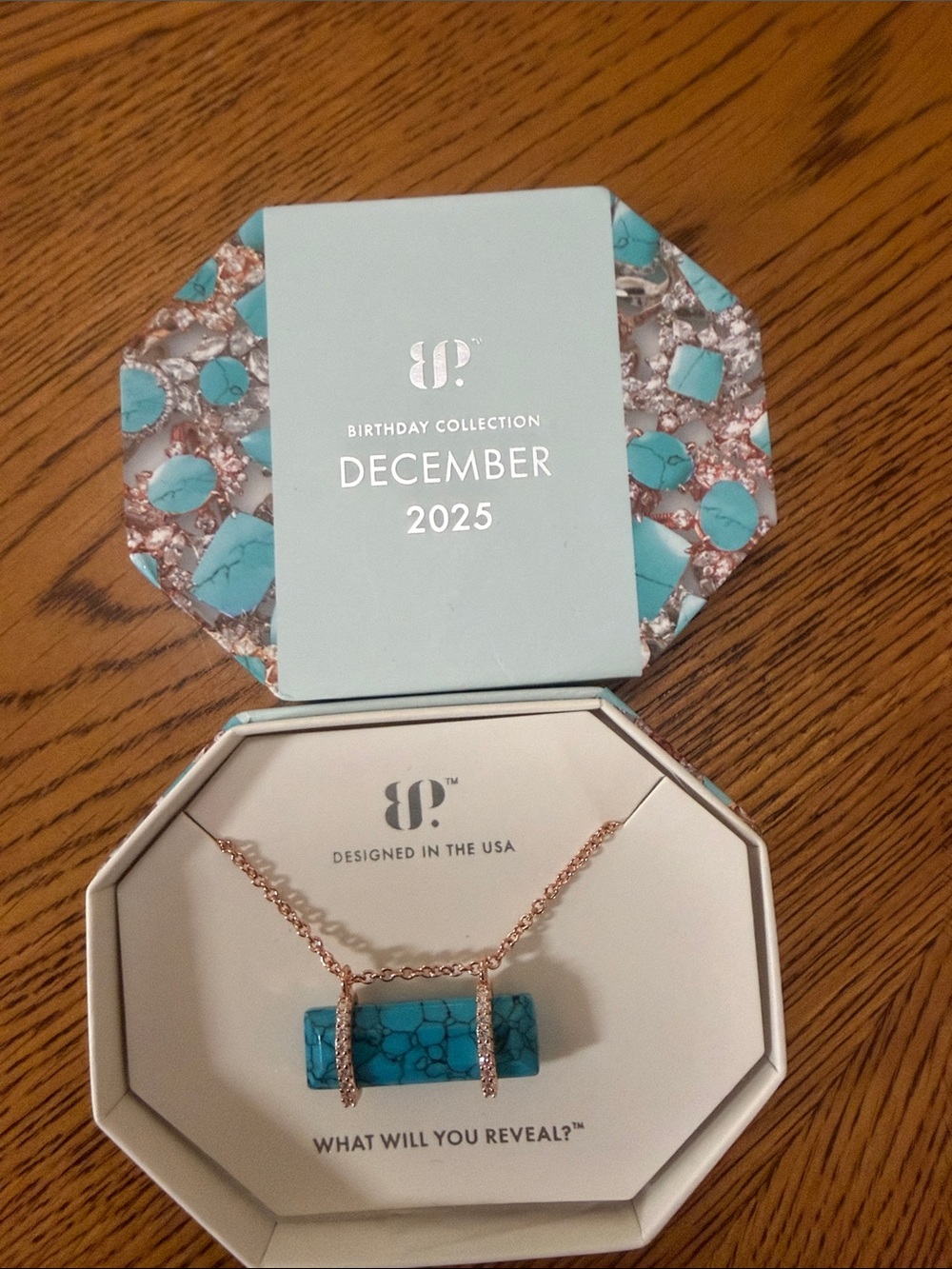 December Birthstone Turquoise Bar Necklace with Rose Gold Chain